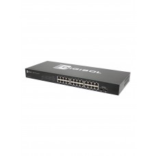 DG-GS1026 Unmanaged Switch
